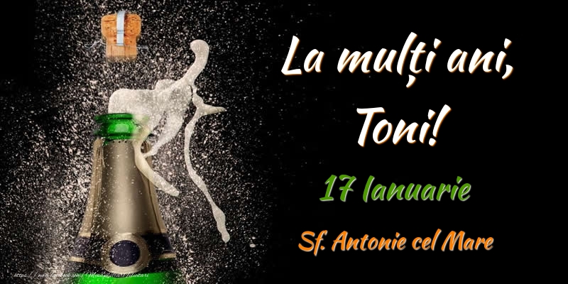 La multi ani, Toni! 17 Ianuarie Sf. Antonie cel Mare - Felicitari onomastice